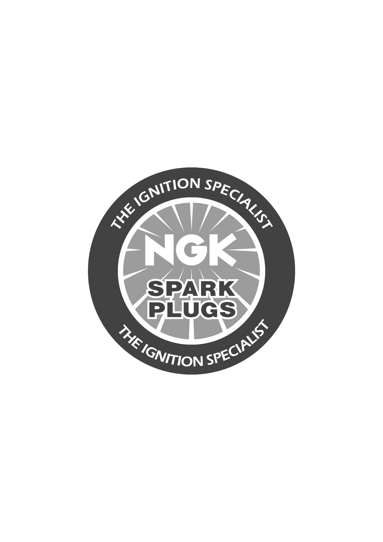 NGK Spark Plugs